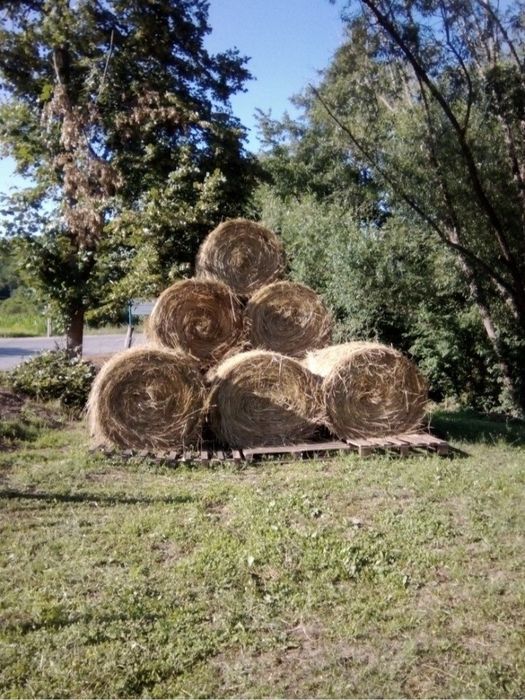 Vând baloți de fân