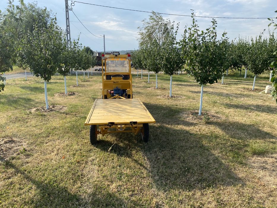 Tractor diesel 1 cilindru  4 viteze inversor pt livada gradini