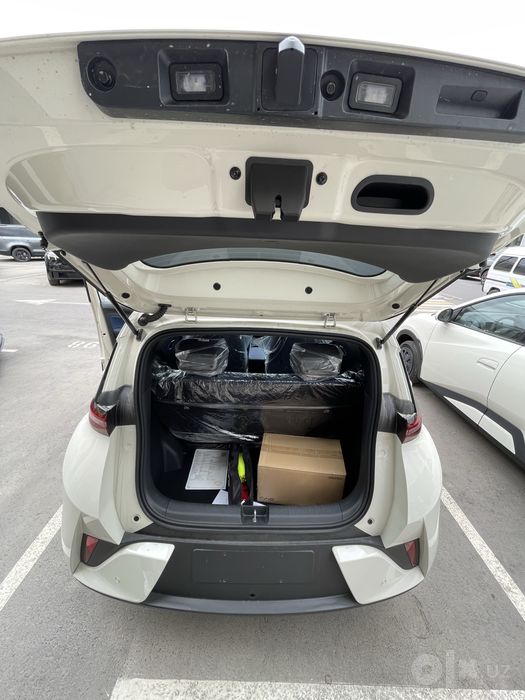 Byd seagull 2026