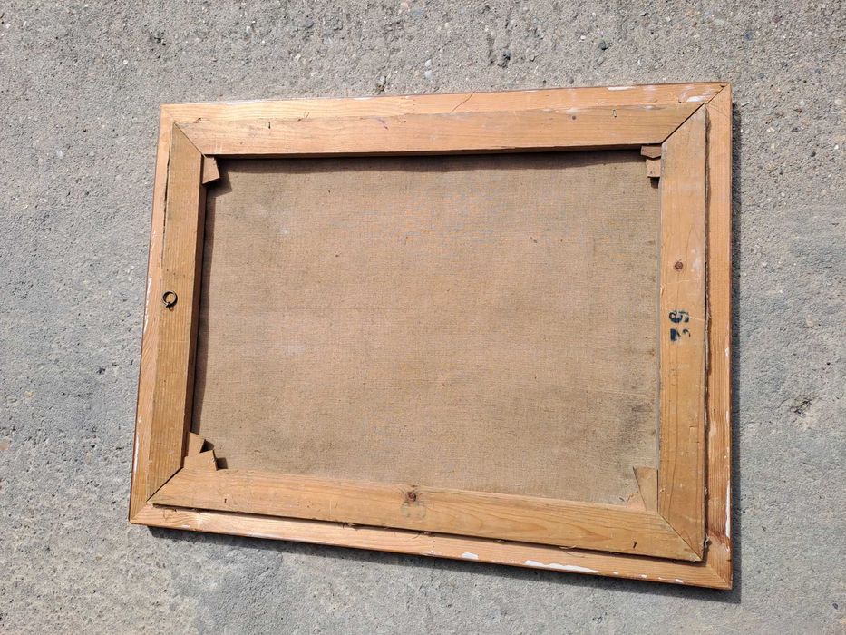 tablou pictura pe panza  58/76 cm semnat M Neuhaus