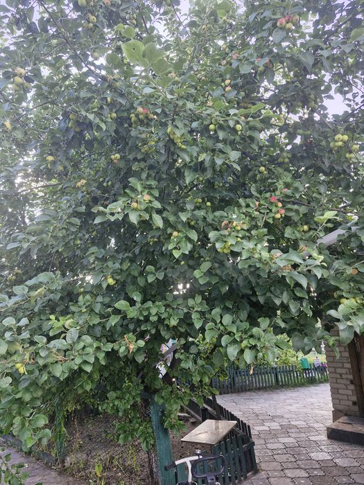 Продам дом все условия в доме есть