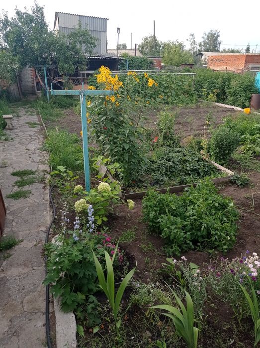 Дом в городе Тобыл