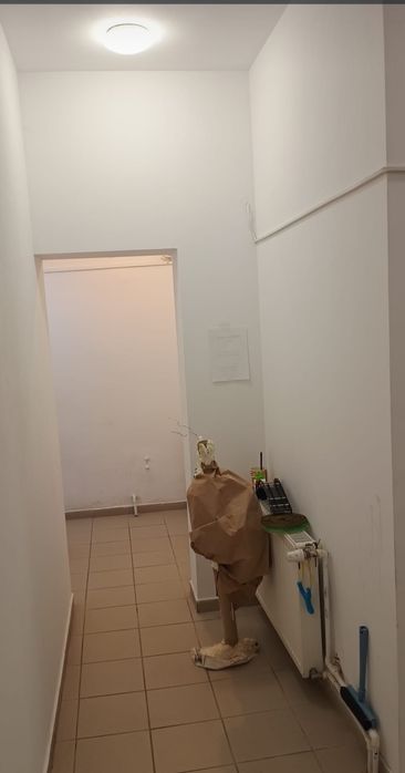 Spatiu comercial 75 mp Vitan - Bobocica