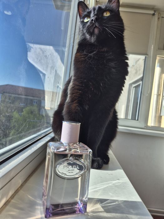 Apa de Parfum Prada Infusion d'Oeillet