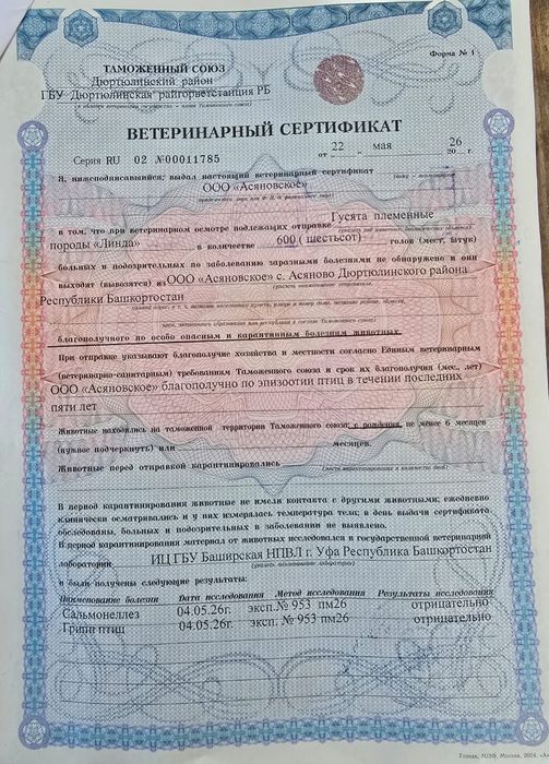 Гусята, утята Башкирия