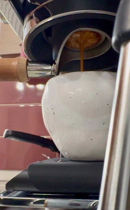 Espressor semi-automat 3in1 Ninja Luxe Cafe Premier ES601 EU - GARANTIE