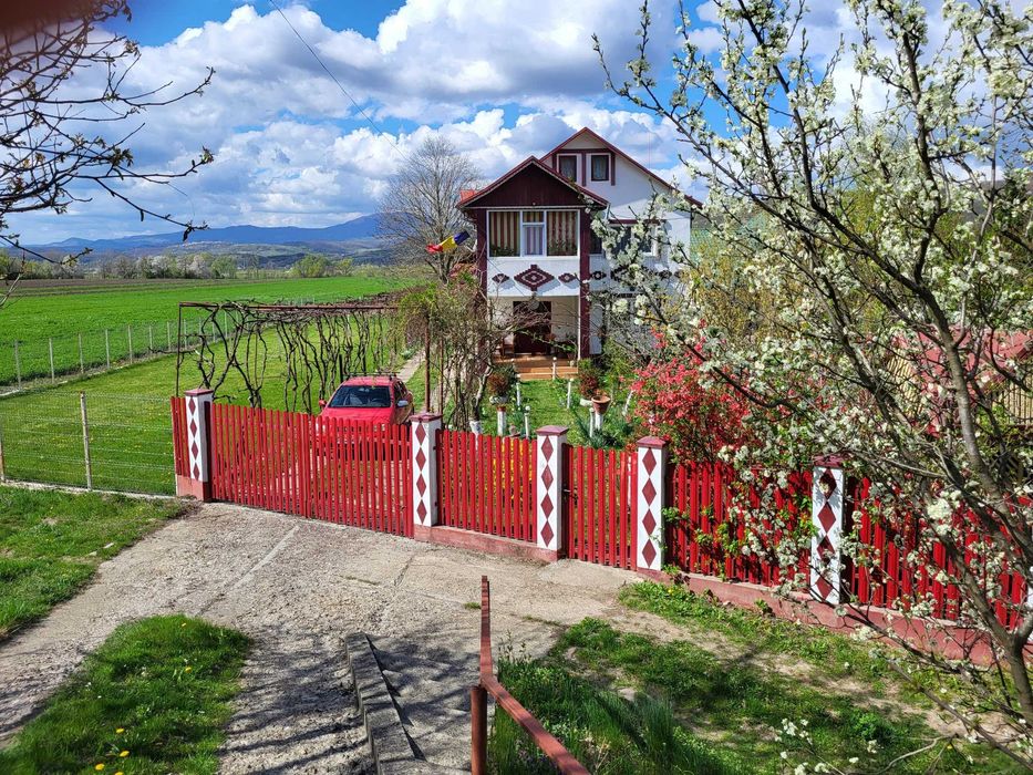 Casa cu teren de 10.000m² comuna Livezi, Bacau