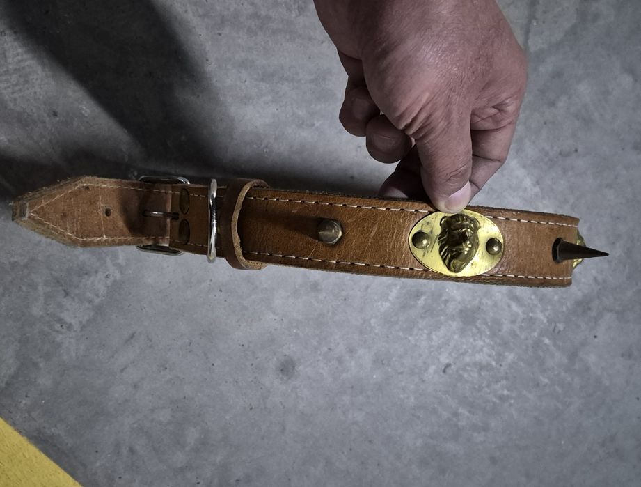 Продается ошейник для крупных бойцовых собак!