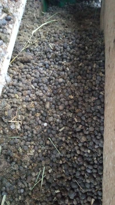 Продам навоз кроличий