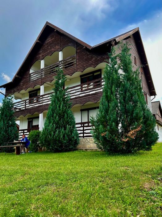 Cabana cu foisor/ gratar/ proțap/ biliard/ tenis