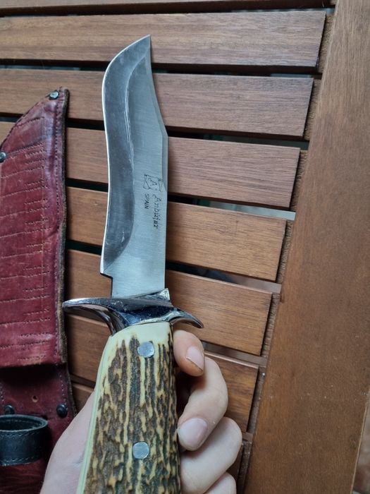 Cutit vanatoare superb