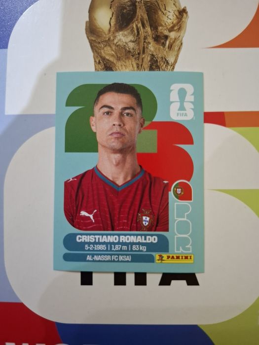 Panini fifa world cup 2026 dubluri