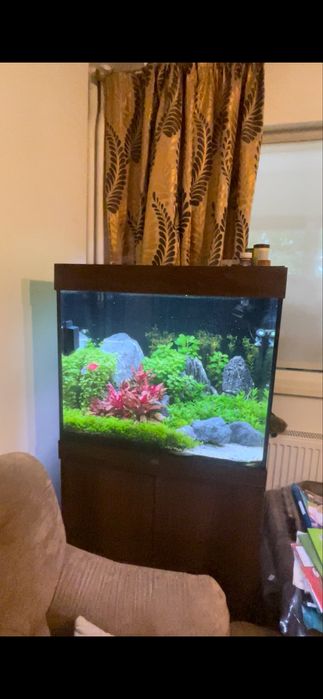 Acvariu Jewel 225 l.+ Filtru  FUVAL FX4