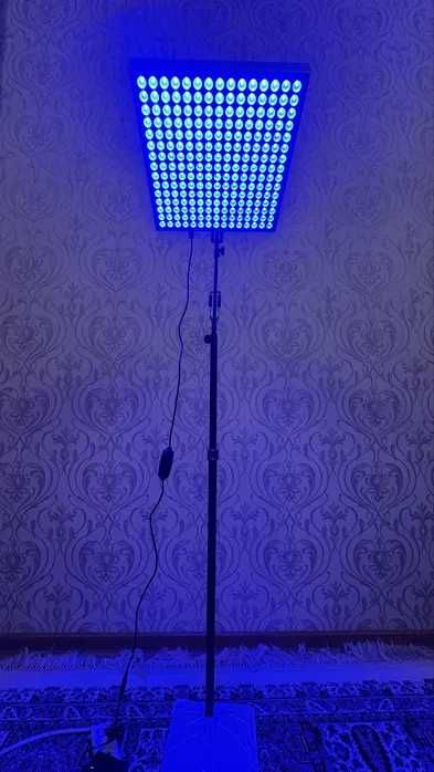 FOTOLAMPA  Yangi tug'ilgan chaqaloqlar uchun