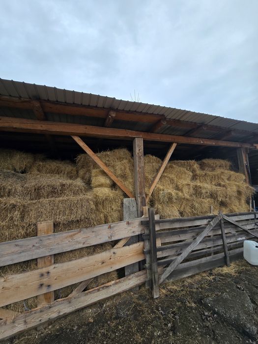 De vanzare baloti de fan