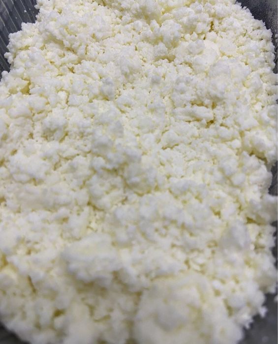 Домашние куры цыплята