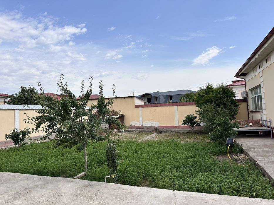 Geofizika MFYda 6 sotixli Katej ijaraga beriladi