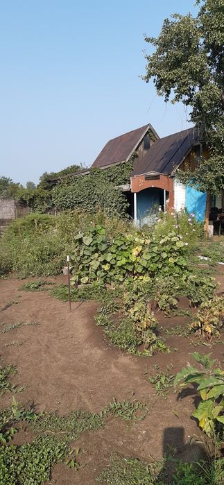 Продам дачу,сад Здоровье.