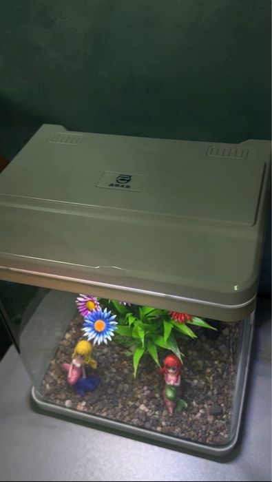 Аквариум 10 л для петушка (Betta)