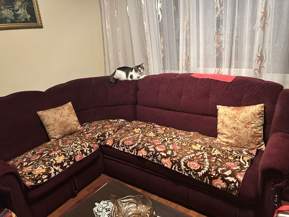 Coltar de culoare bordo