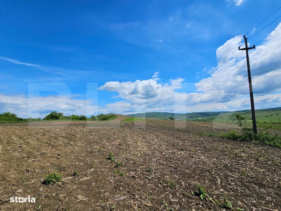 Teren Agricol, 5.800 mp, in Blajenii de Jos