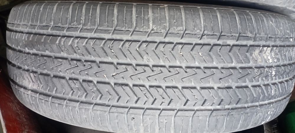 205.15kobilt ga balon