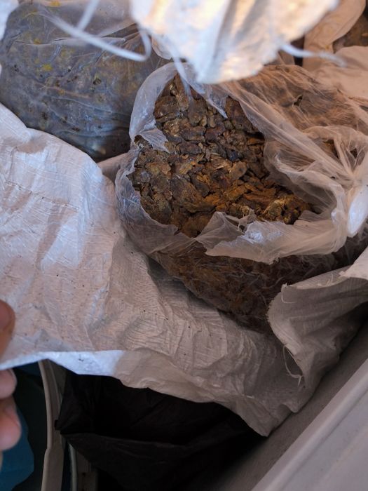 Propolis brut de calitatea , pastura