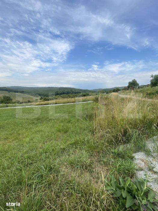 Teren de vanzare – zona Subcetate, aproape de str. Tarpiului, 595 mp