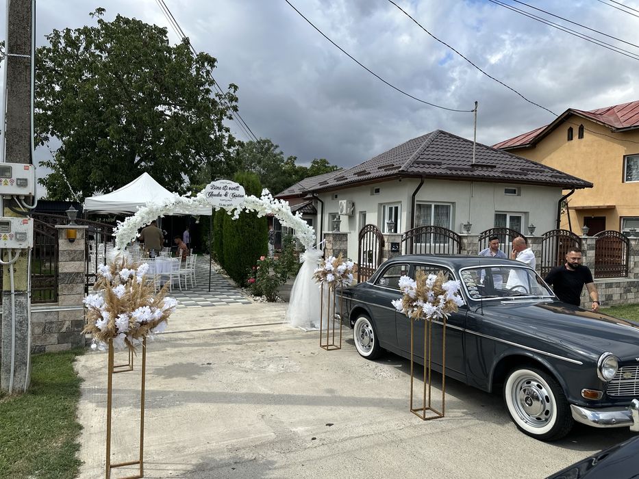 Manechin mire/mireasa ( nunta)