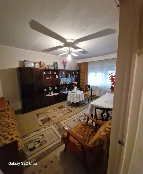 Vand apartament 2 camere paltinisului