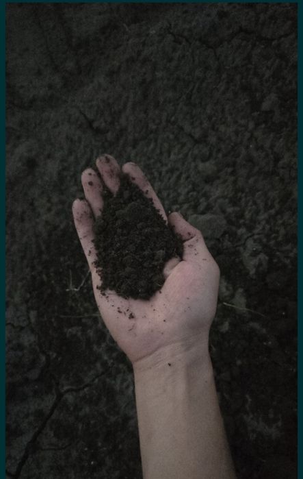 Перегной в мешках