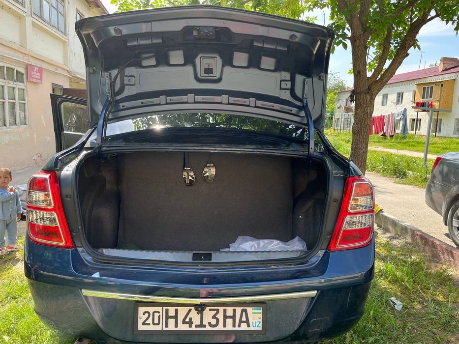 Other Cobalt 2024 — 3