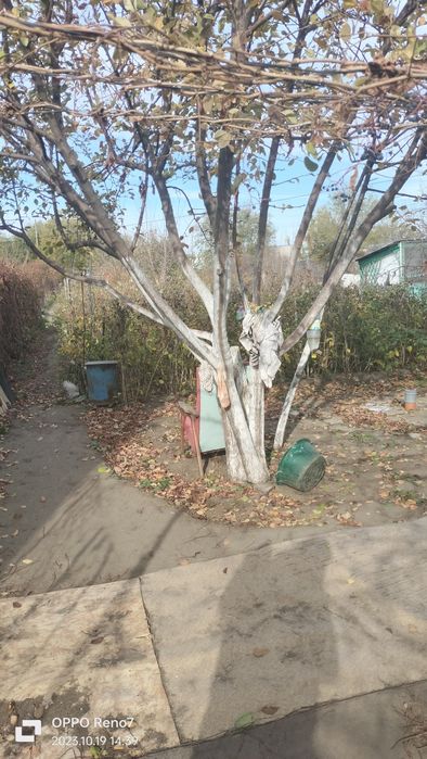 Продам дачу Торг есть