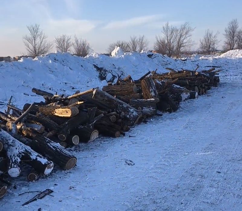 Дрова бесплатно самовывоз