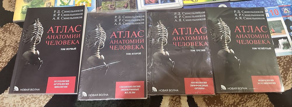 Атлас анатомии человека синельникова