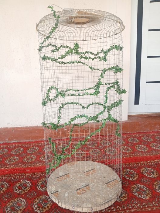 qushlarga in sotiladi