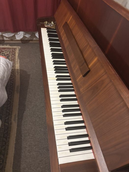 Pianina doina an 1982