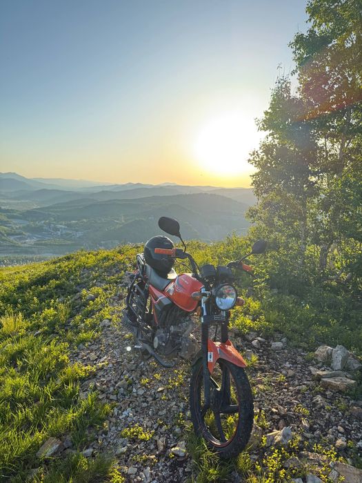 продам альфу 110