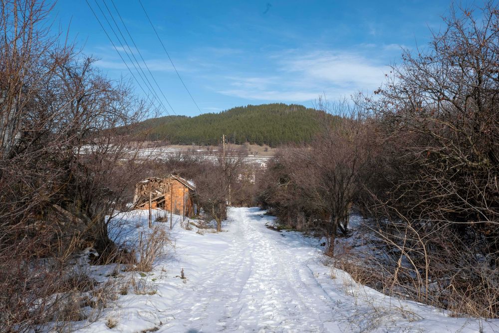 Продава се Парцел в Брезник - 4000 кв.м за 8 €/кв.м - Снимка #5