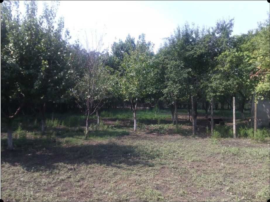Casă + teren 2188 mp aproape de Lacul Gălățui, Alexandru Odobescu, Călărași