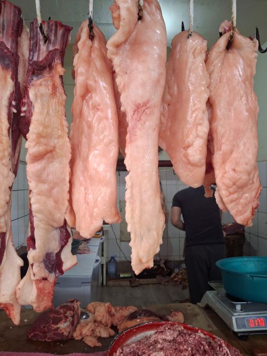 Жылқының қазылық майы