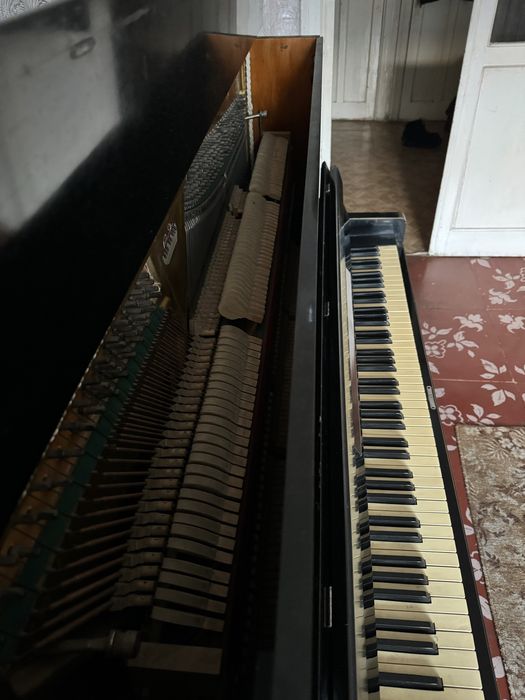 Продам пиантно ростов дон (торг!)