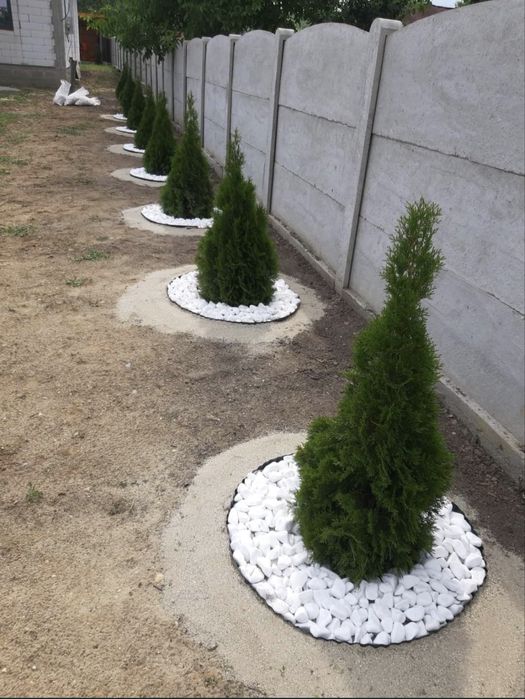 Grădini | Gazon Rulou | Irigații | Intretineri | Pavaj montaj De la A la Z