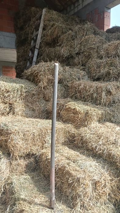 Vând baloți de lucernă
