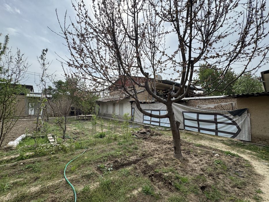 Karimada mirza golip kochasida yer sotiladi