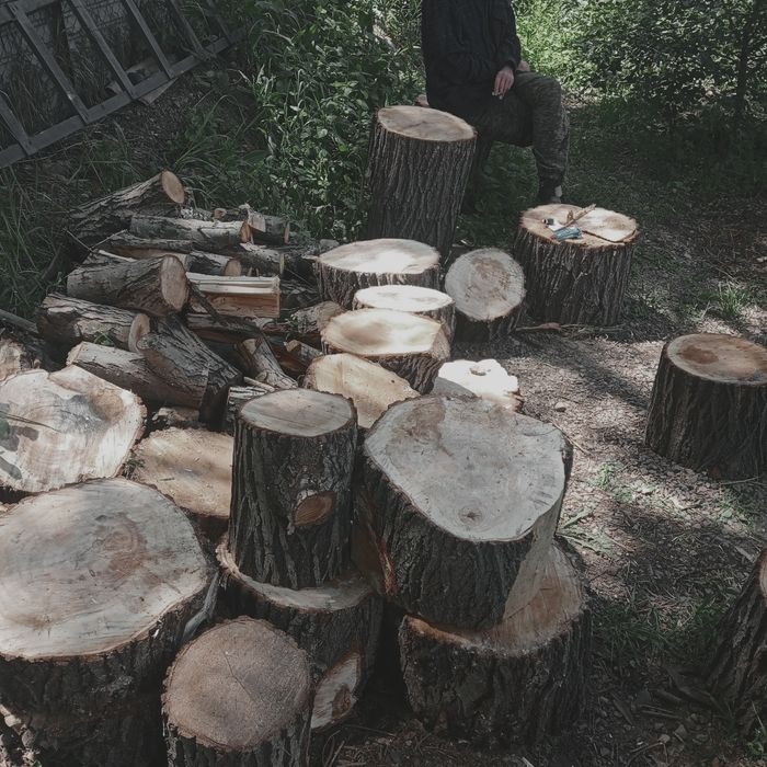 Срочно продам дрова