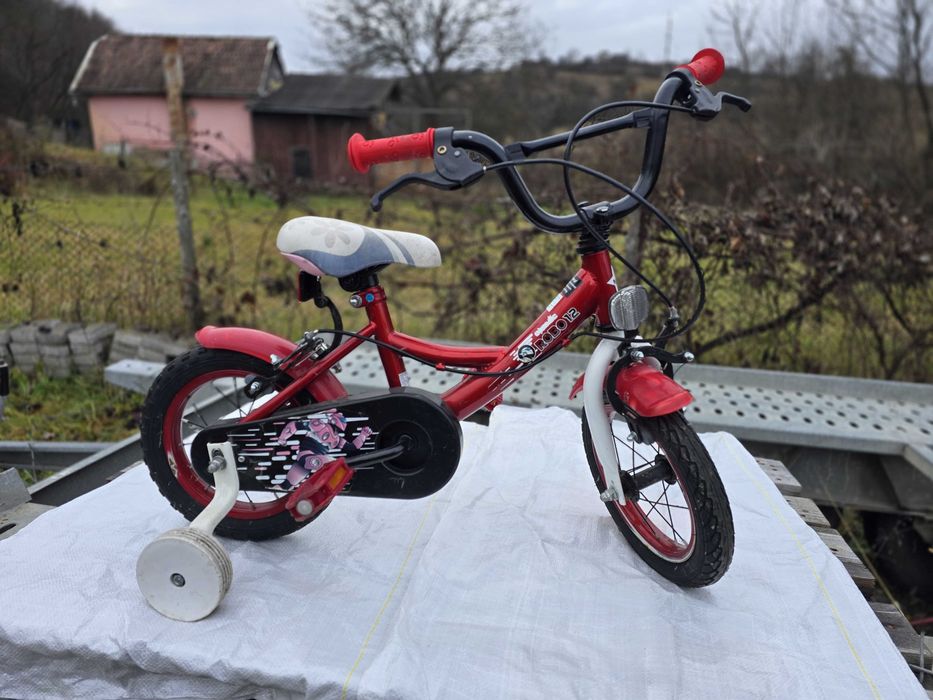 Bicicleta copii 2-4 ani