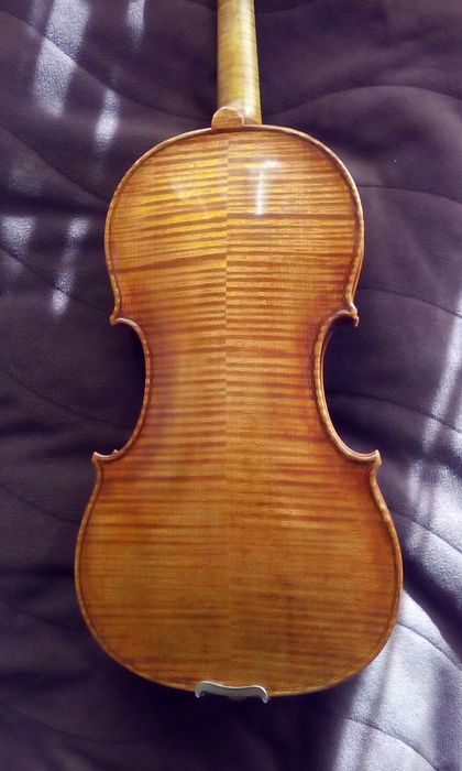 Професионални лютиерски услуги