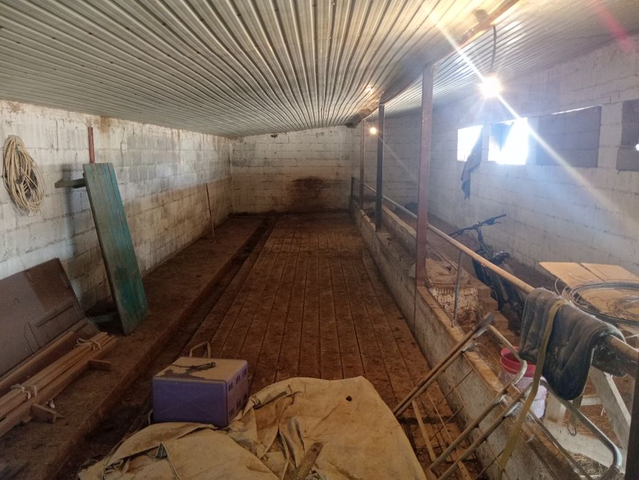 Фазенда 1 гектар