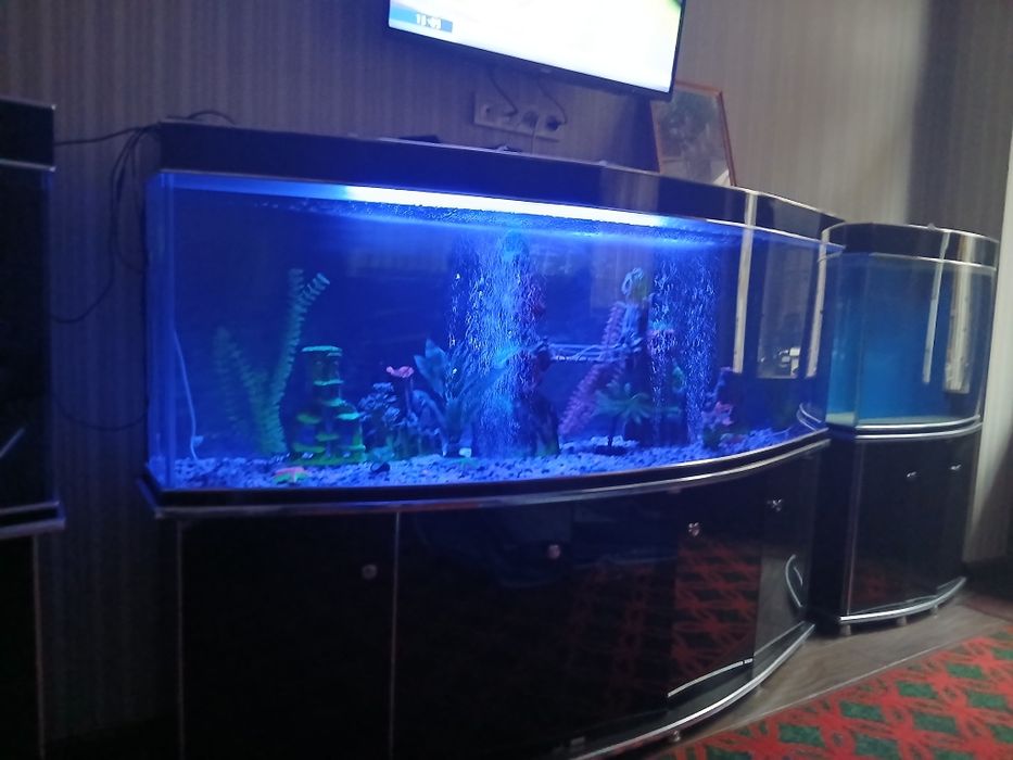 Аквариум сотилади